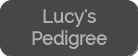 Lucy's Pedigree